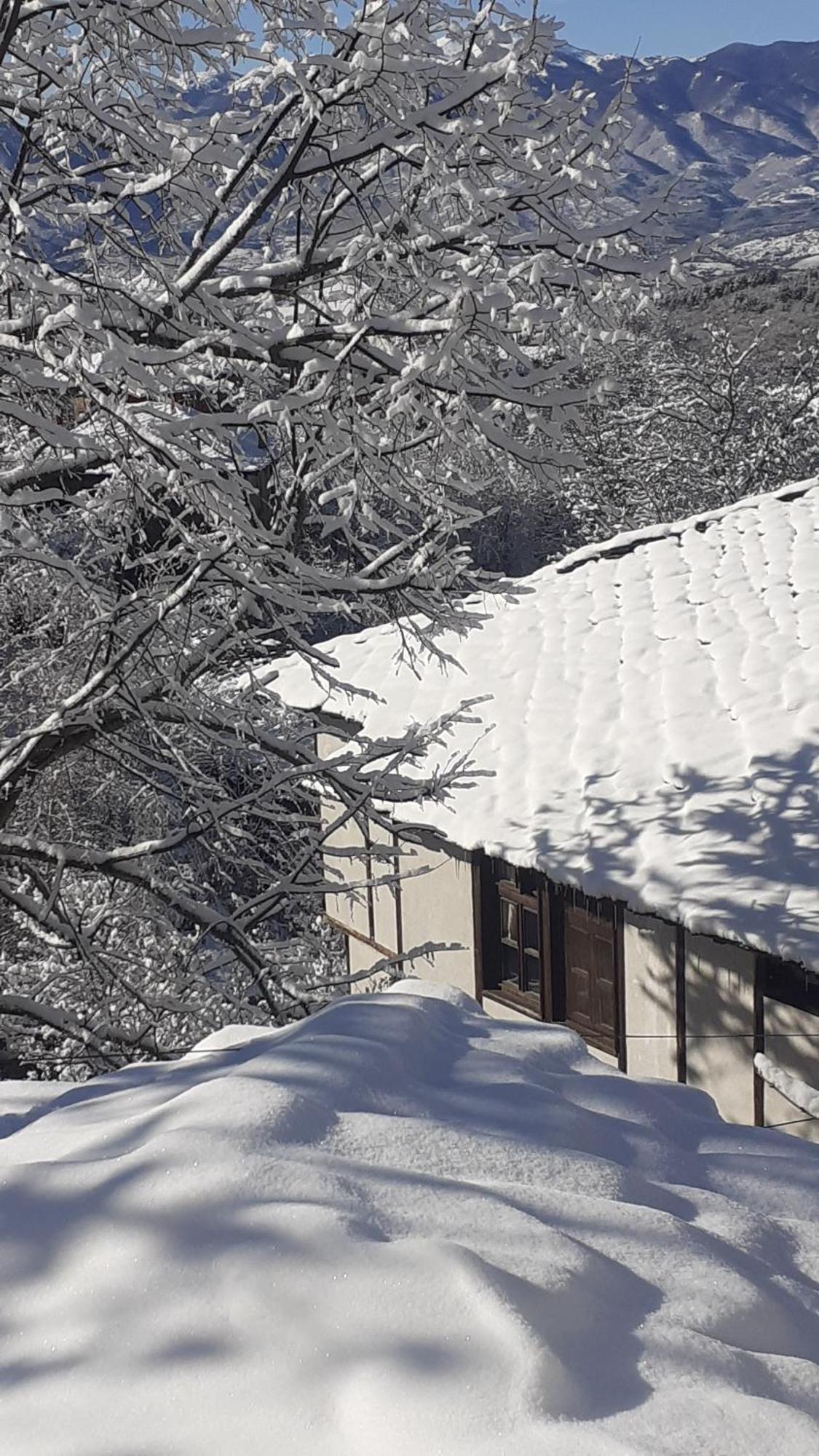 Къща За Гости Близнаците Leshten Exterior foto